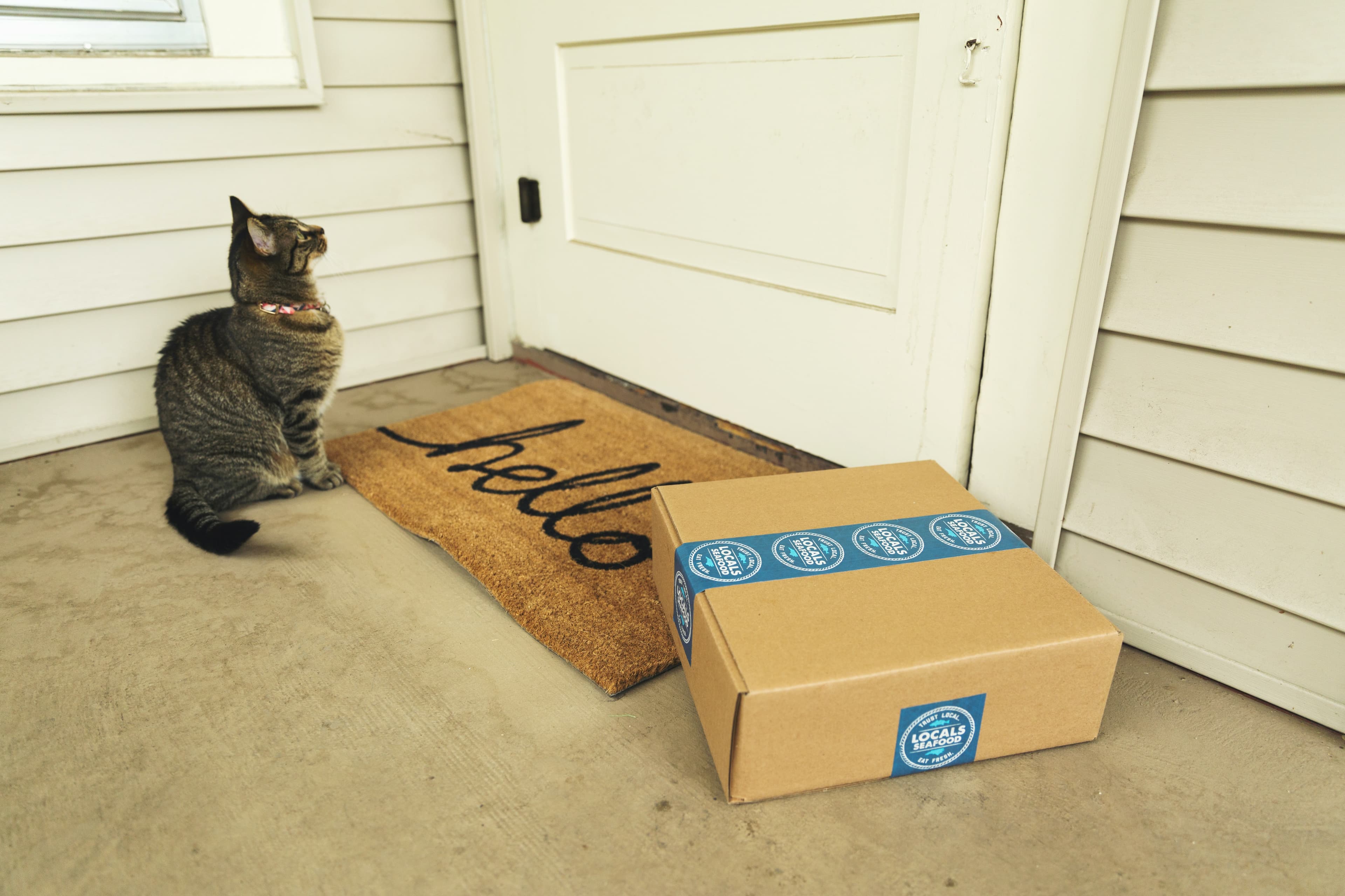 The Rise of Subscription Boxes: Trends and Opportunities in E-commerce